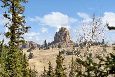 245 Bronco Cir, Como, CO 80456 photo 7