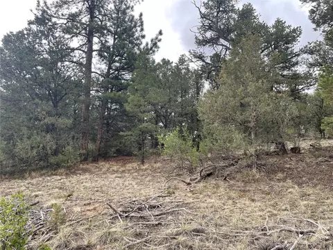 00 L Path, Other, CO 81223 photo 11