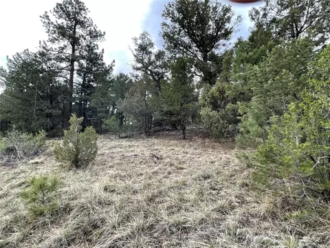 00 L Path, Other, CO 81223 photo 8