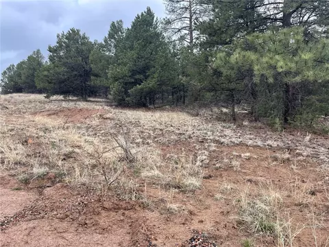 00 L Path, Other, CO 81223 photo 10