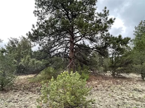 00 L Path, Other, CO 81223 photo 7