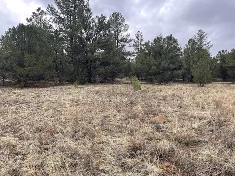 00 L Path, Other, CO 81223 photo 14