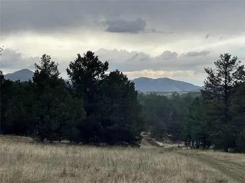 00 L Path, Other, CO 81223 photo 6
