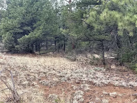 00 L Path, Other, CO 81223 photo 13
