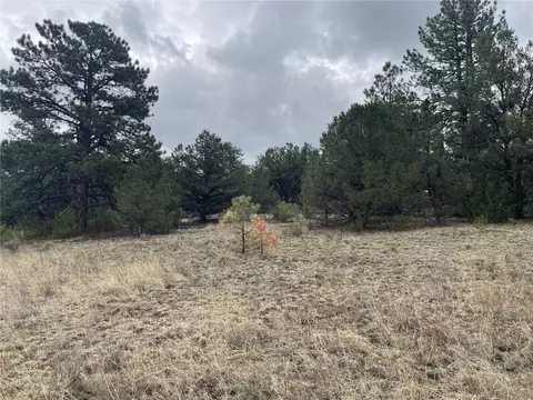 00 L Path, Other, CO 81223 photo 15