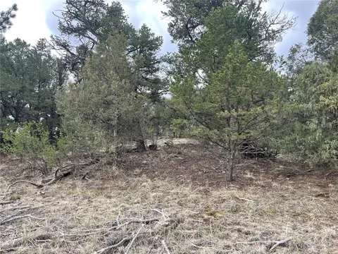 00 L Path, Other, CO 81223 photo 9