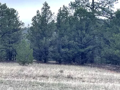 00 L Path, Other, CO 81223 photo 5