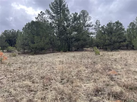 00 L Path, Other, CO 81223 photo 12