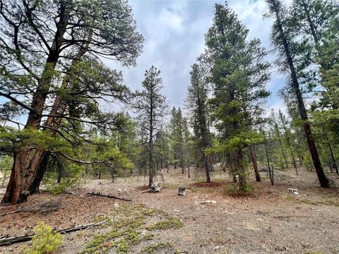 322 Fir Dr, Twin Lakes, CO 81251