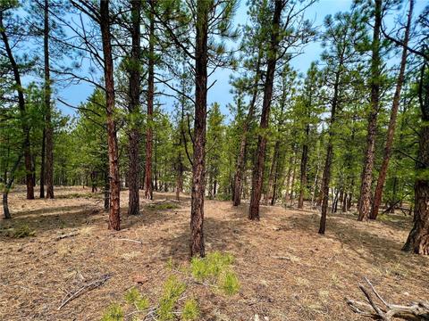 tbd Corral Ln, Florissant, CO 80816