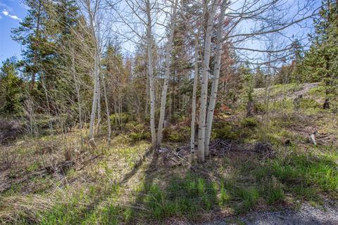 577 Deer Path Rd, Dillon, CO 80435
