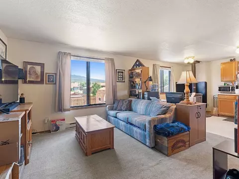 184 Sunlight Dr, Dillon, CO 80435 photo 22