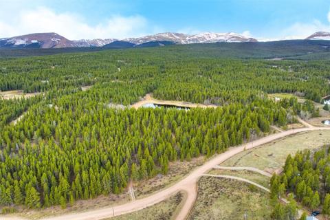 1256 Lakeside Dr, Fairplay, CO 80440