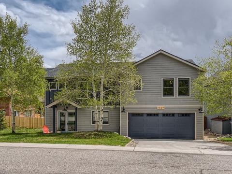 1624 North Chipmunk Lane, Silverthorne, CO 80498