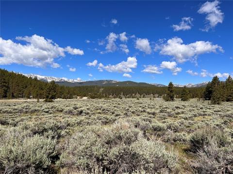 TBD County Road 9, Leadville, CO 80461