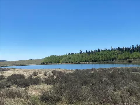 756 Iron Mountain Rd, Fairplay, CO 80440