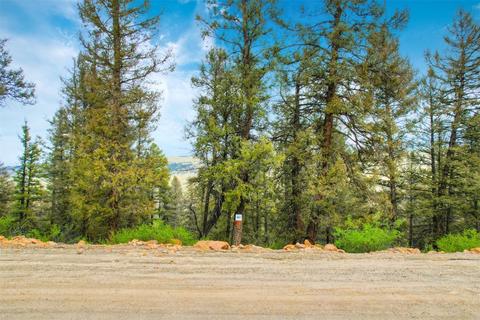 000 Middle Fork Vis #LOT 367, Fairplay, CO 80440