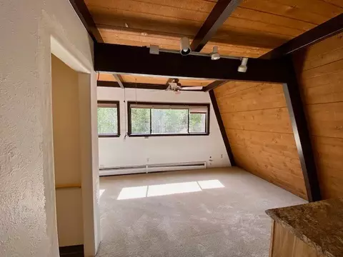 740 Piney Acres Cir, Dillon, CO 80435 photo 13