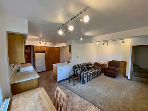 740 Piney Acres Cir, Dillon, CO 80435 photo 22