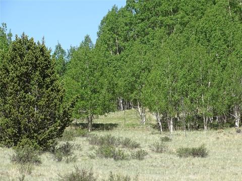 744 Arland Rd, Como, CO 80432 photo 7
