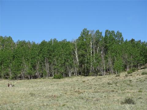 744 Arland Rd, Como, CO 80432 photo 6