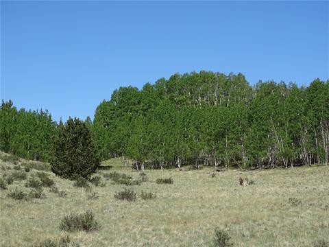744 Arland Rd, Como, CO 80432 photo 5