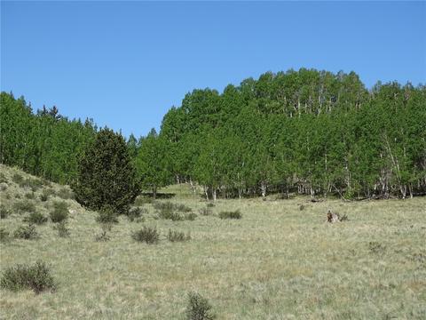 744 Arland Rd, Como, CO 80432 photo 1