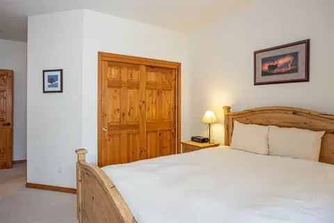 105 Range View Cir, Silverthorne, CO 80498 photo 15
