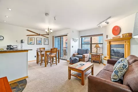 100 S Park Ave #316, Breckenridge, CO 80424