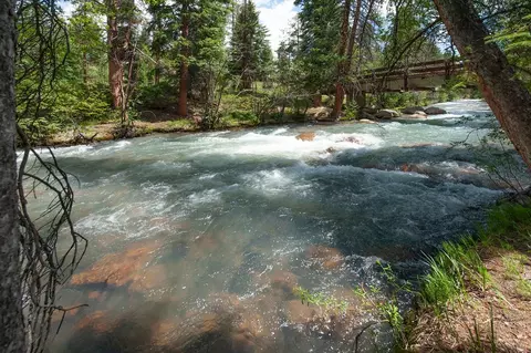 0044 Bear Tree Ct, Keystone, CO 80435 photo 7