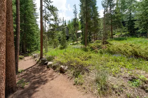 0044 Bear Tree Ct, Keystone, CO 80435 photo 37