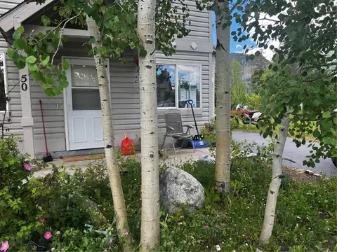 50 Peak One Cir #50, Frisco, CO 80443