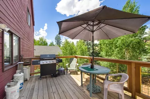 53 Wagner Way, Dillon, CO 80435 photo 8