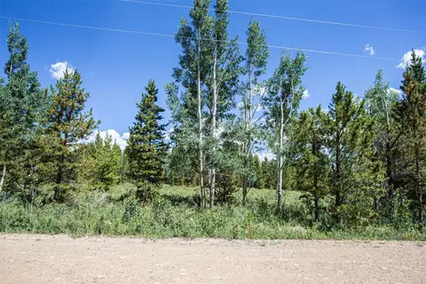 75 Calf Ln, Fairplay, CO 80440