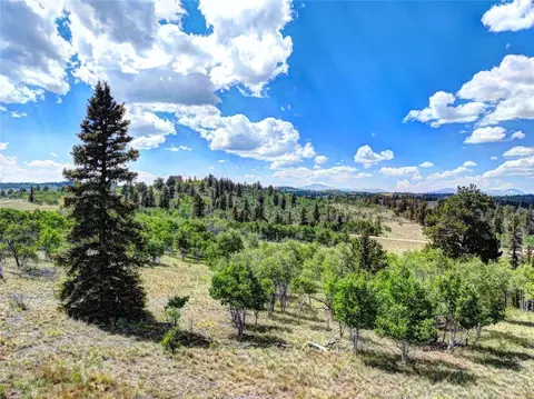 1883 Buffalo Ridge Rd, Como, CO 80432 photo 6