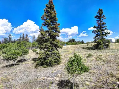 1883 Buffalo Ridge Rd, Como, CO 80432 photo 14