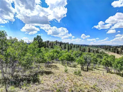 1883 Buffalo Ridge Rd, Como, CO 80432 photo 7