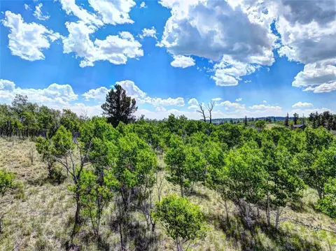 1883 Buffalo Ridge Rd, Como, CO 80432 photo 3
