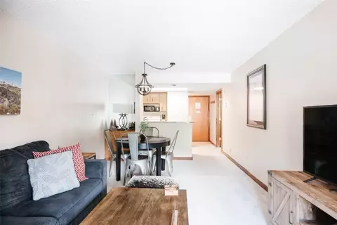 154 Wheeler Pl #207, Copper Mountain, CO 80443 photo 11