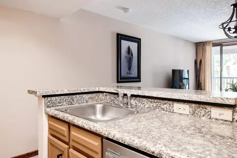 154 Wheeler Pl #207, Copper Mountain, CO 80443 photo 5