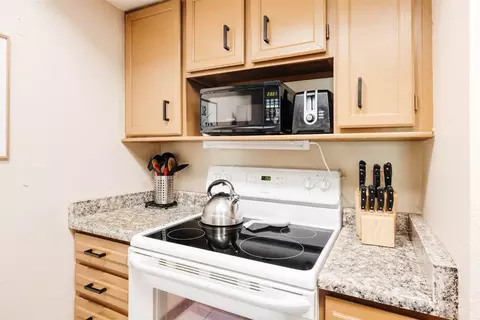 154 Wheeler Pl #207, Copper Mountain, CO 80443 photo 6