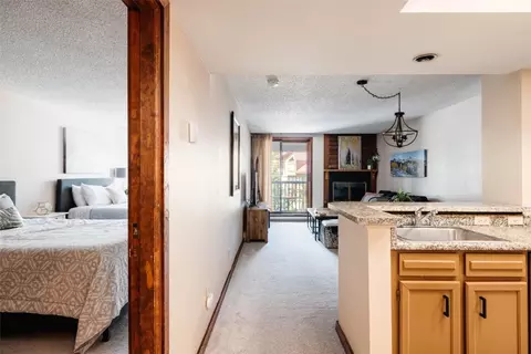 154 Wheeler Pl #207, Copper Mountain, CO 80443 photo 3