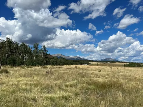 138 June Grass Ct, Fairplay, CO 80440