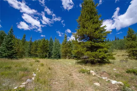 1147 County Road 1, Alma, CO 80440