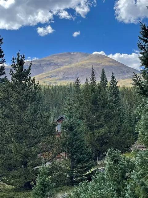 410 Ansley Ave, Alma, CO 80420