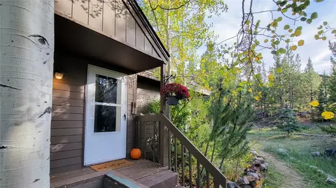 1842 Perigrine Ln #D, Silverthorne, CO 80498 photo 5