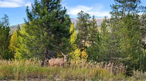 1842 Perigrine Ln #D, Silverthorne, CO 80498 photo 28