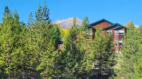1842 Perigrine Ln #D, Silverthorne, CO 80498 photo 23