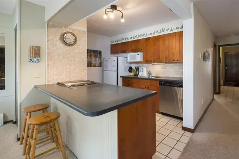 112 E La Bonte St #203-E, Dillon, CO 80435 photo 4