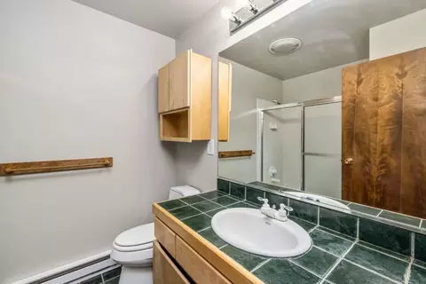 572 Vail Cir, Dillon, CO 80435 photo 26